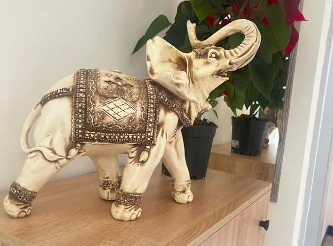 Affittacamere Shiva House